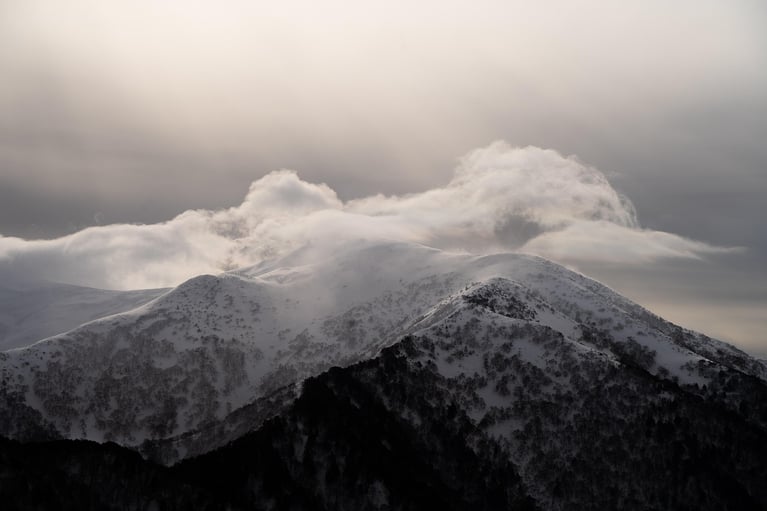 My Child Is a Bully: What Can I Do to Help Change Their Behavior?